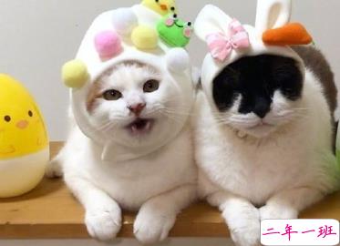 今日份的彩虹屁合集 今天是九宫格装不下的好看呀2