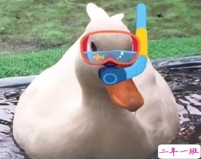 非常有意思的沙雕句子 今年不想过了麻烦退我一岁1