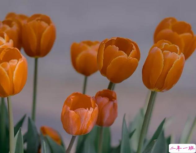 2020十二月的睡前朋友圈晚安心语 关于十二月的精辟正能量说说1