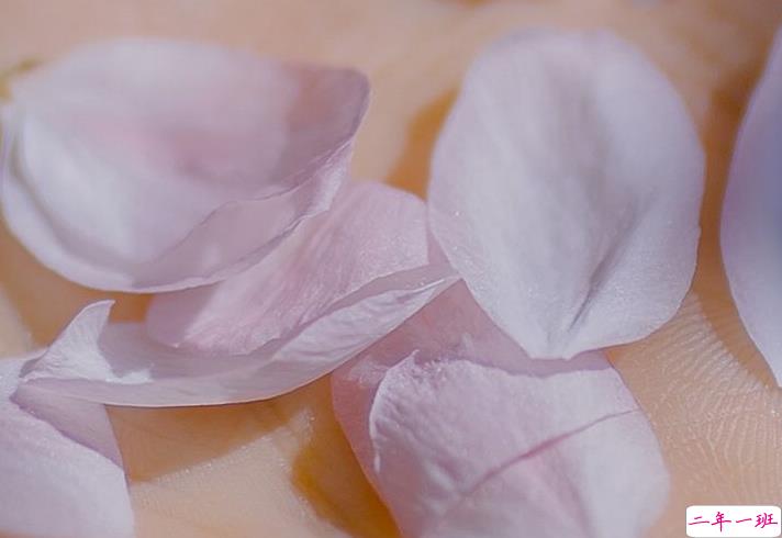 2020十二月的睡前朋友圈晚安心语 关于十二月的精辟正能量说说2