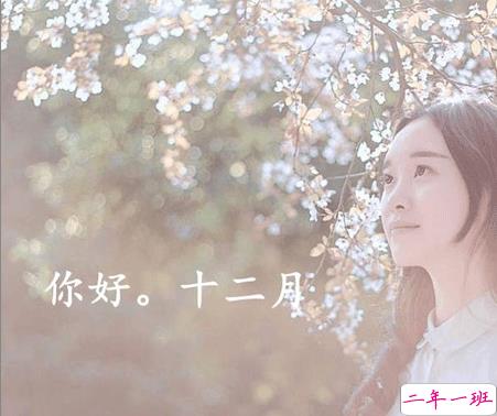 2020十二月来临的惊艳文艺句子 长安十二月月月风花雪1