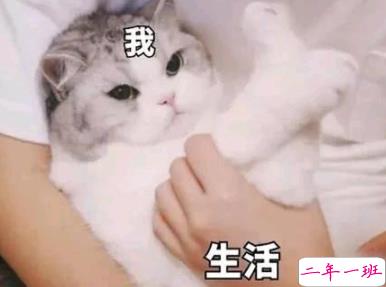 超级皮的句子搞笑可爱 乐开怀的搞笑说说大全1