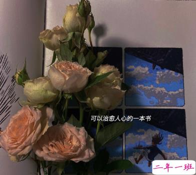 无关爱情让人心动的贴心温柔文案 感同身受从来不适合聆听者1