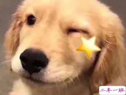 qq扩列说说搞笑一点的 十分沙雕搞人的扩列说说1