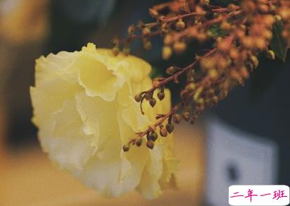 有哲理又很心酸的句子 笑着讲述那些曾让你哭的瞬间1