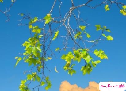 打鸡血正能量满满的句子 让人充满力量的经典语录2