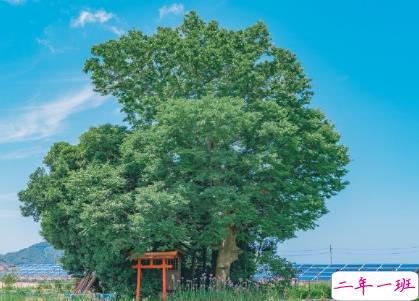 七月励志短句致自己2020 越努力越幸运2