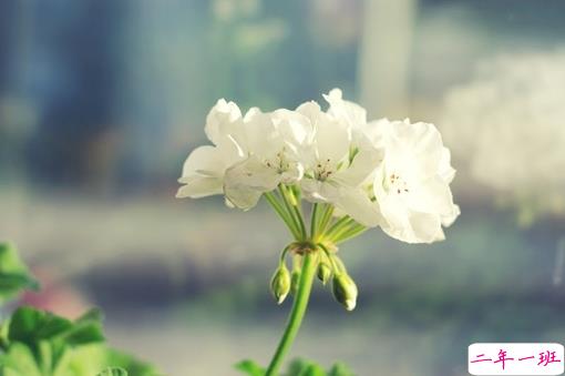 2019二月再见三月你好说说经典励志 三月你好微信早安句子1