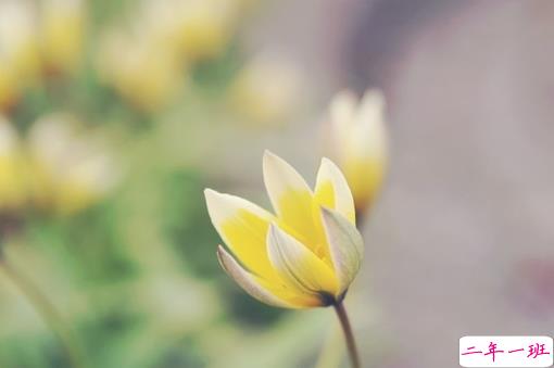 2019二月再见三月你好说说经典励志 三月你好微信早安句子2