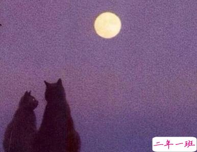 经典励志内涵说说大全 幸运的人从来不是我所以要努力1