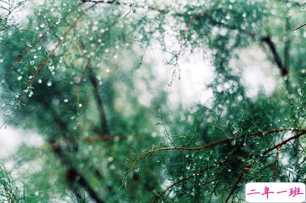 感悟很深的经典句子大全 人生最深刻的道理句句穿心2