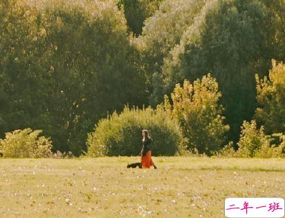 正能量励志说说大全 朝着太阳生长做个温暖的人1