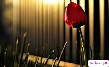 2018七夕情人节表白语录超浪漫 很甜很撩人的七夕告白语录1