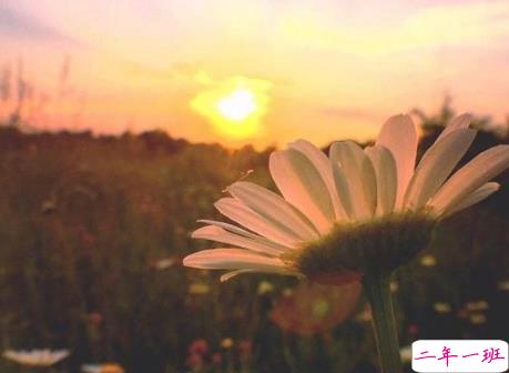 微信晒高考成绩单的说说 2019知道高考成绩发朋友圈的励志句子1