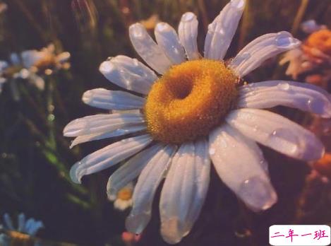 微信晒高考成绩单的说说 2019知道高考成绩发朋友圈的励志句子2