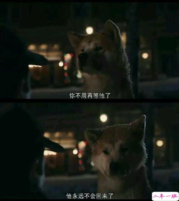 那些年让你心动的电影经典语录图片 说说你喜欢的电影经典台词3