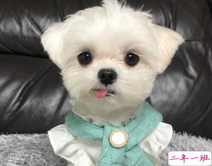 毕业季找工作忧心文案 找工作心态崩了的文案1