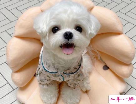 毕业季找工作忧心文案 找工作心态崩了的文案2