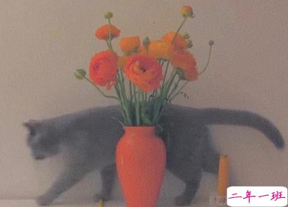 寒衣节朋友圈怎么发 寒衣节缅怀亲人的文案2