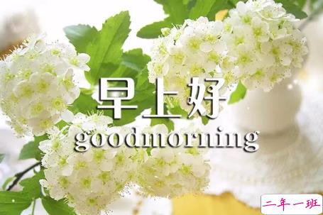 2018早上好正能量的句子和图片 早上好励志的句子配图激励人心的8