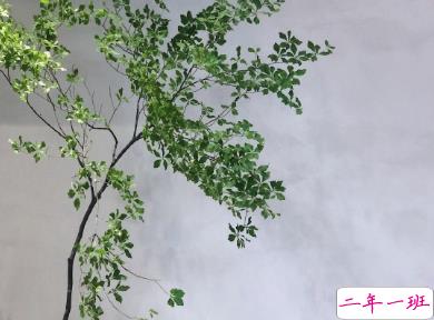 心好累想哭的说说 被彻底伤害的心情说说2