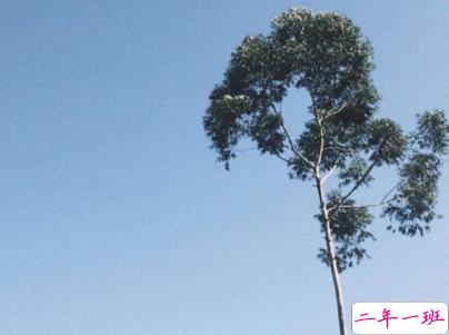 攒够了失望的经典句子 失望心疼自己的说说1