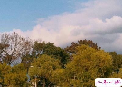 攒够了失望的经典句子 失望心疼自己的说说2