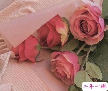 让人泪奔的悲伤句子简短 始于心动止于心痛1