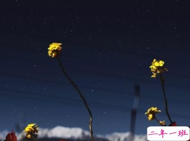 今天心情特不好的说说 心里不开心的伤感句子1