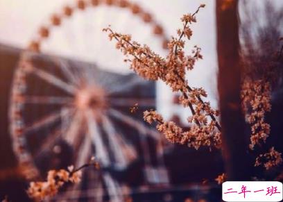 最虐心最催泪的句子 看了忍不住心疼的伤感句子2