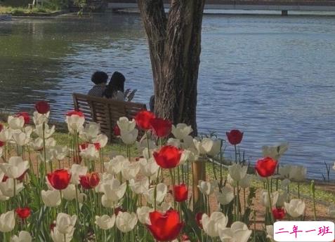 温柔文艺的文案怎么写 值得收藏的唯美句子1