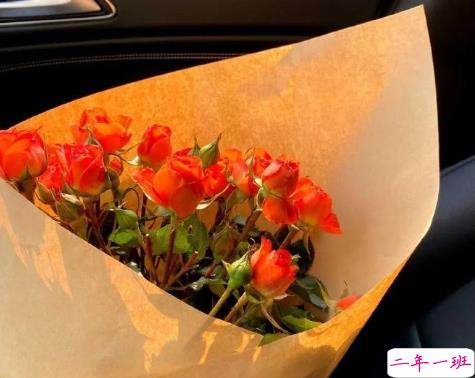 很可爱的有仙气的八字微信状态文案 简单干净小清新微信状态句子1