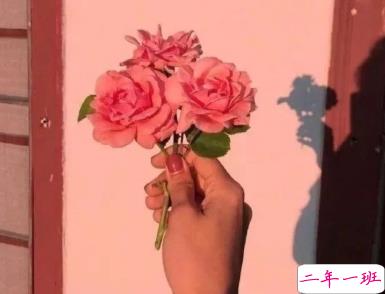 第一眼就心动的酷酷文案2021 偶尔可恶永远可爱1