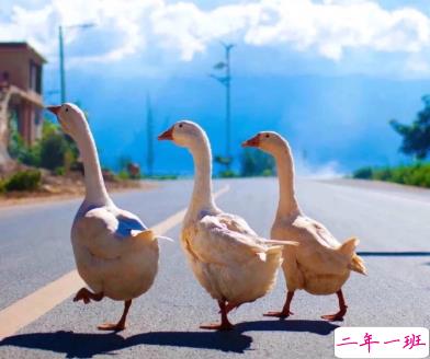 既浪漫又温柔的句子 日复一日的美梦1