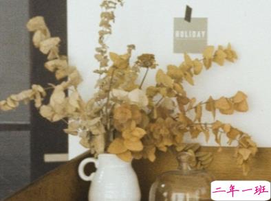 让你一眼就能爱上的句子 江月何曾皱眉1