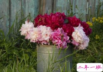 让你过目不忘的八字句子 布衣饭菜可乐终身2