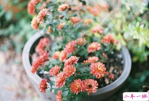 社会现实人情冷暖句子带图片 现实又很扎心的句子看透一切配图9