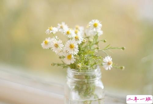 社会现实人情冷暖句子带图片 现实又很扎心的句子看透一切配图10