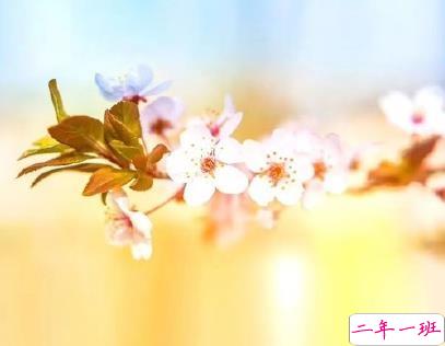 2020春天朋友圈文案 适合春天的说说简短清新1