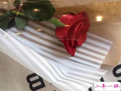 很美有意境的句子 美到骨子里的说说句子1