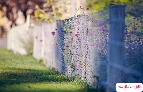 一个人委屈到哭的句子适合发朋友圈 形容无法诉说的委屈的句子2