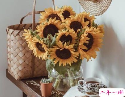 晒风景照片的说说大全 一句话简短唯美的风景句子1