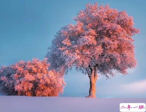 森系文艺唯美小句子 适合朋友圈的文艺说说1