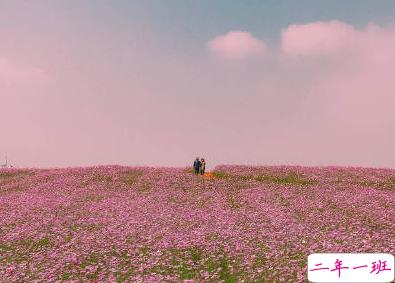 五一出去玩的文案 2020五一假期出游唯美句子2