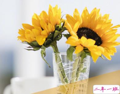 描写闺蜜友谊的唯美句子 超暖心的友情句子简短好听1