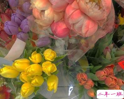 描写闺蜜友谊的唯美句子 超暖心的友情句子简短好听2