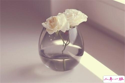 2019伤感经典语录英文版 忧伤的英文句子带翻译2