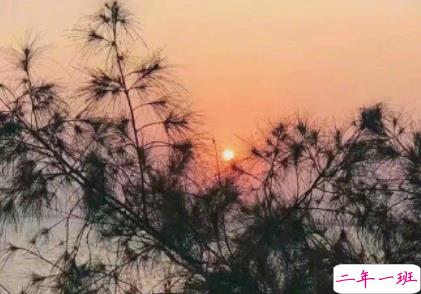 早上好英文说说心情短语 一句话早安心语英文带翻译1