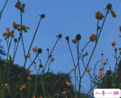 光棍节一波爱而不得的心碎句子 无法相拥的人要好好的告别1