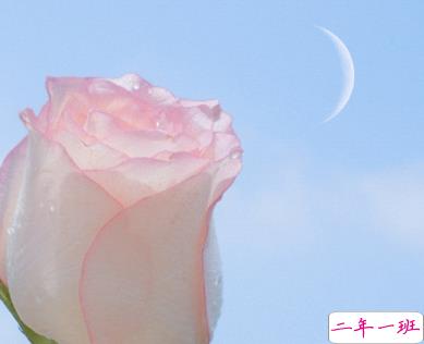 有哲理的句子励志精辟 努力是会上瘾的1